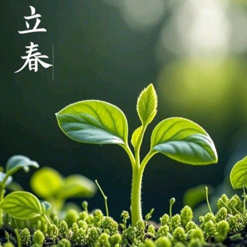 【散文】《六九启春扉 西府纳新章》作者: 强军/陕西宝鸡(图9)