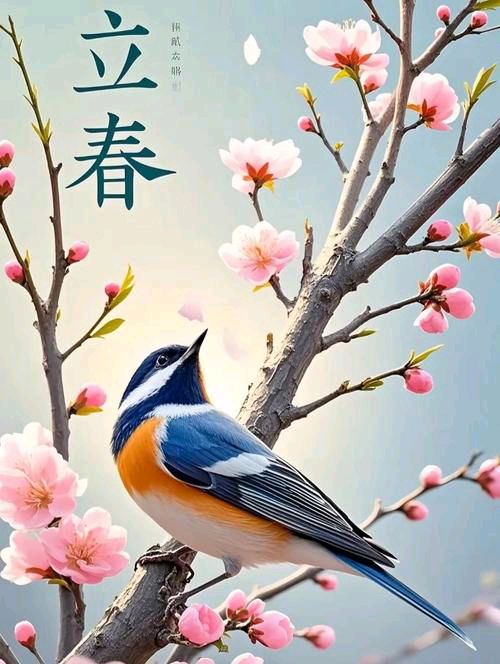 【散文】《六九启春扉 西府纳新章》作者: 强军/陕西宝鸡(图11)