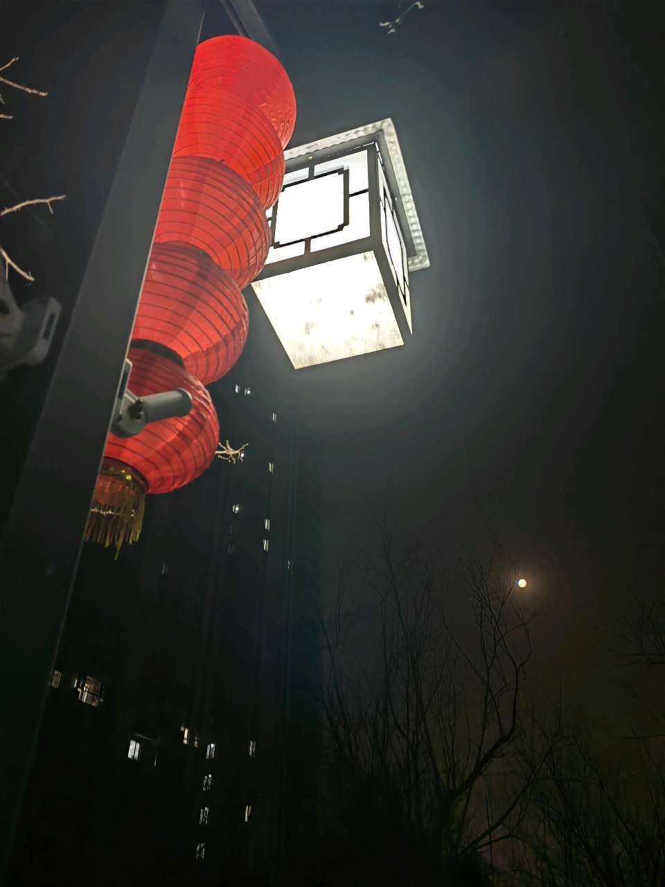 晓月映碧空🌙（图2）