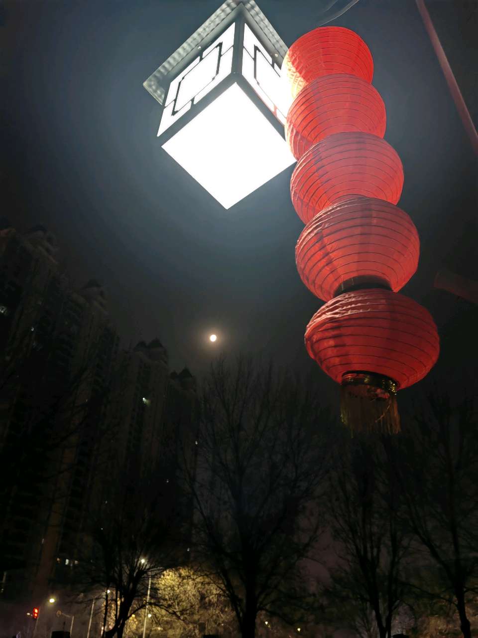 晓月映碧空🌙（图6）