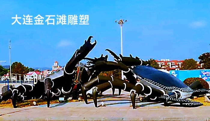 浪漫大连～李耀文（辽宁）（图16）