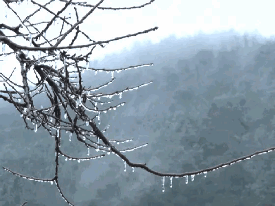 魏士山《海天诗画》名家精品七绝.立春（外二首）诗‖与世无争（北京）（图3）