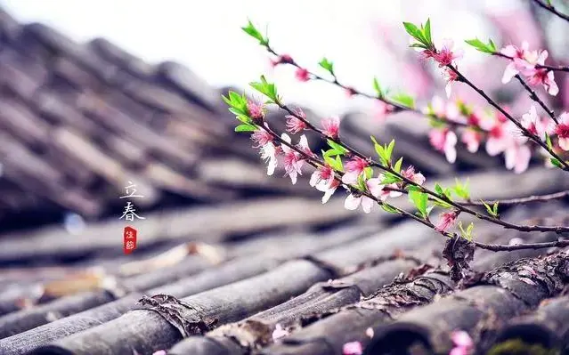 魏士山《海天诗画》名家精品七绝.立春（外二首）诗‖与世无争（北京）（图4）