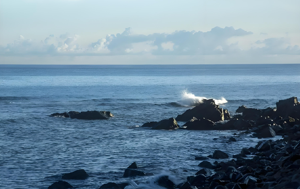 海 海