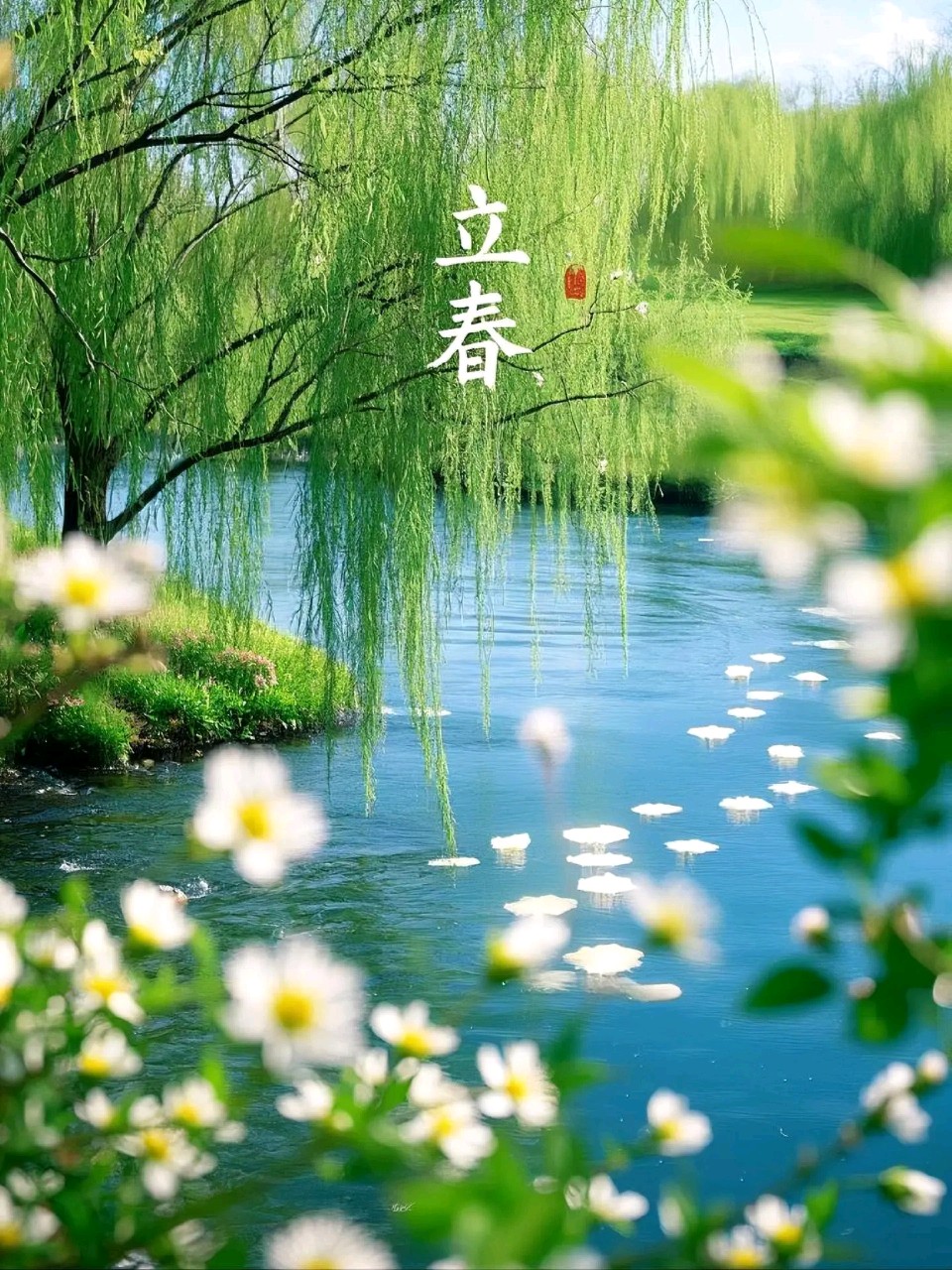 🇨🇳【中国诗人】第1129篇（名家风采）乡音老师心语专辑（图5）