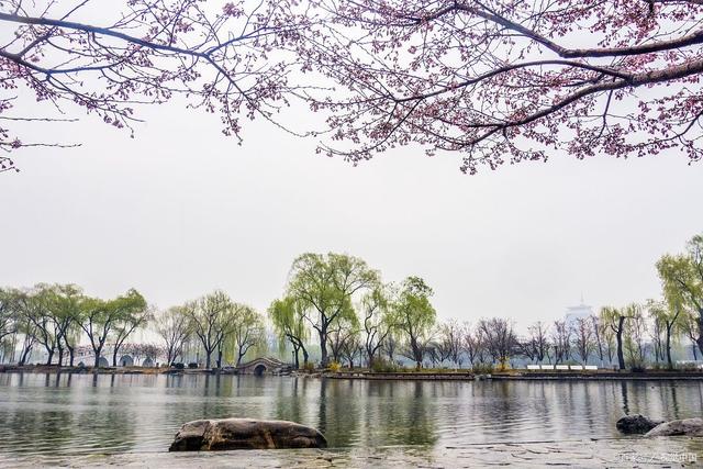 都市名家专栏：清玉案•东湖//张建华（图2）