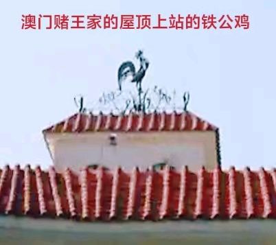 澳门鸟笼赌场～李耀文（辽宁）（图12）