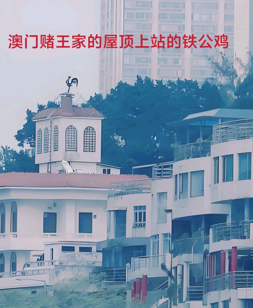 澳门鸟笼赌场～李耀文（辽宁）（图16）