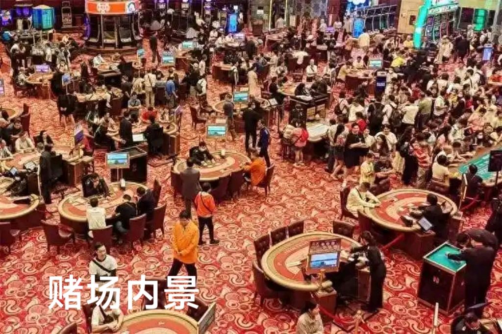 澳门鸟笼赌场～李耀文（辽宁）（图15）