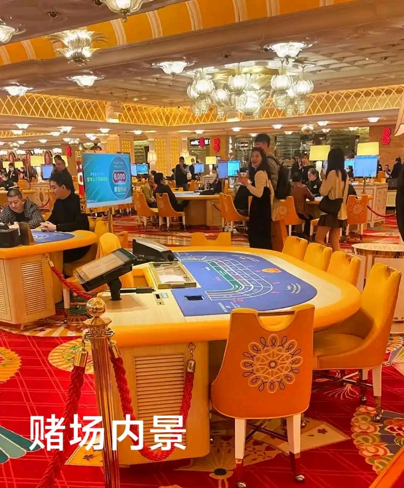 澳门鸟笼赌场～李耀文（辽宁）（图17）