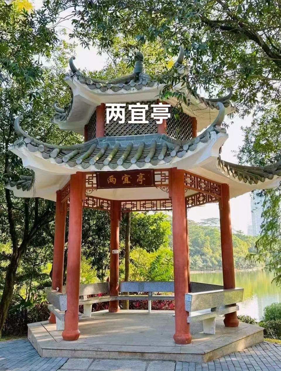 海外头条：（叙事散文诗）《立春出游》作者 || 丁培恭（图9）