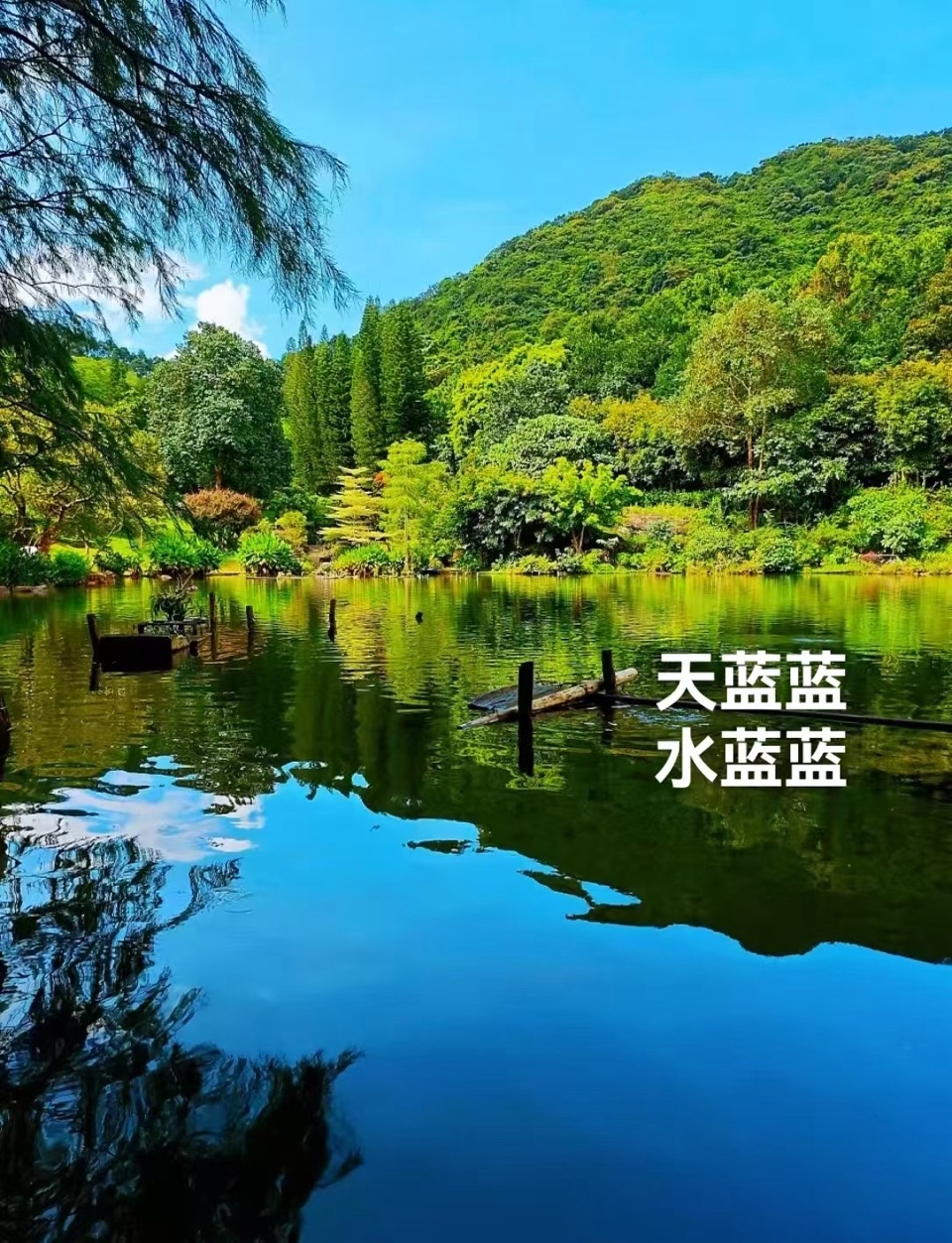 海外头条：（叙事散文诗）《立春出游》作者 || 丁培恭（图13）