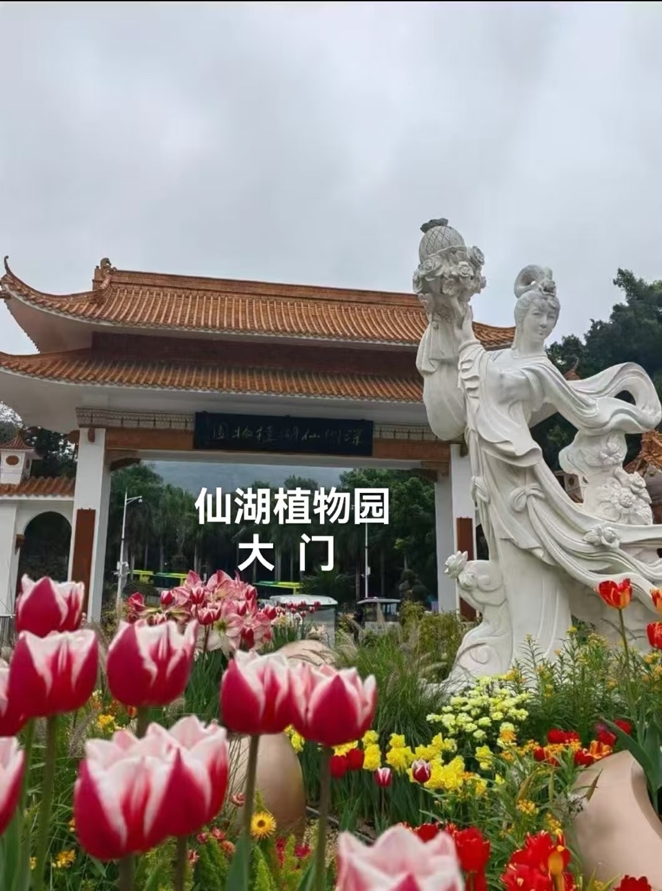 海外头条：（叙事散文诗）《立春出游》作者 || 丁培恭（图7）
