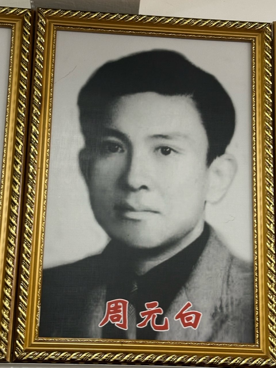 海外头条：石川朗诵《望远》作者||火凤凰（海外）（图49）