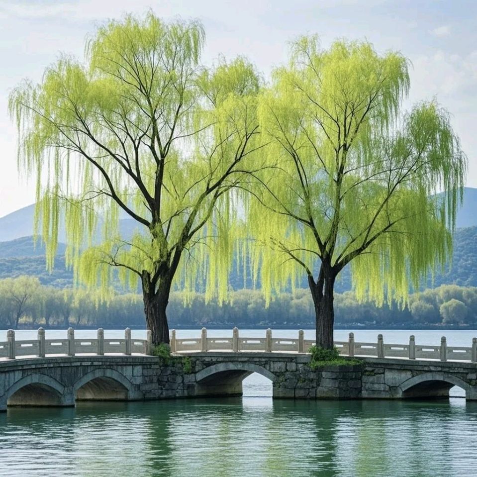 津遇/作者：李青双（图3）