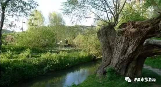 水调歌头·双圣降龙文/安曼（图4）