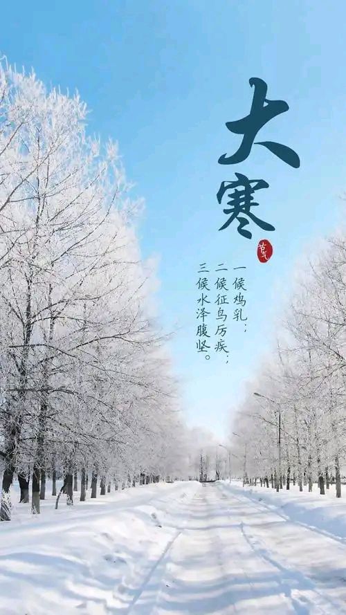 丁淑云:2026年一月份诗歌集锦‖巴彦诗协【1155】(图11)