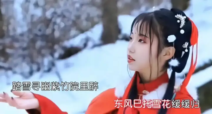 《踏雪紫竹院》歌曲赏析(作词:王晓霞 / 作曲:刘书先 / 演唱:音萱)(图5)