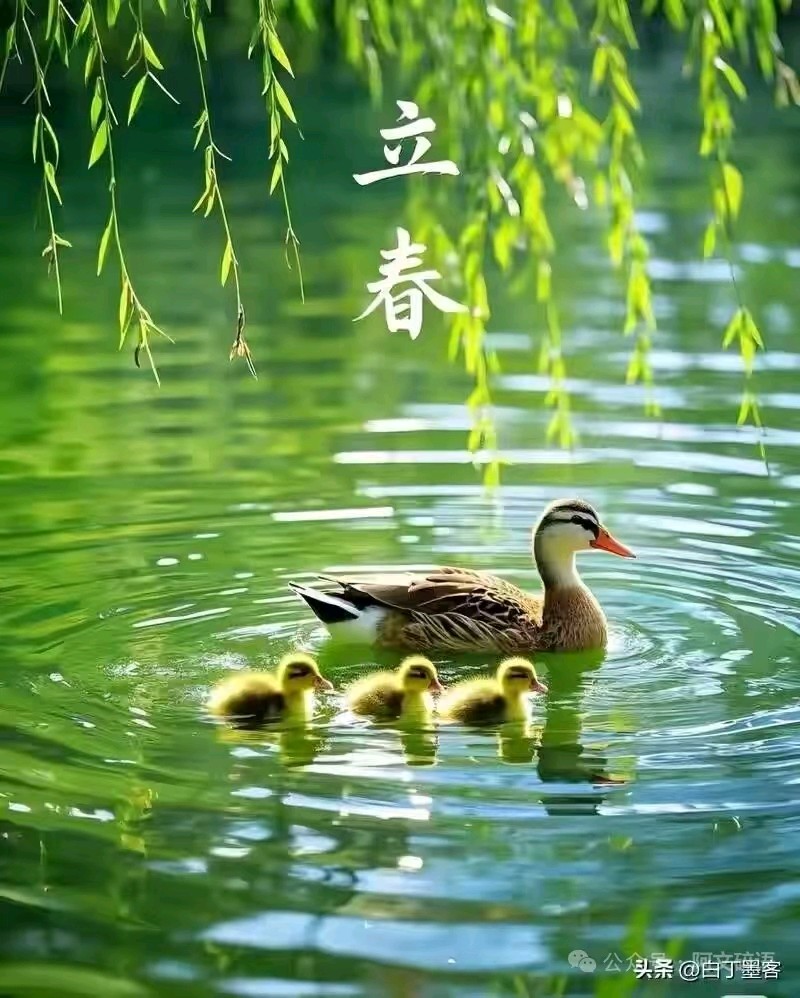 【墨香群英苑】第31期综合刊(图6)