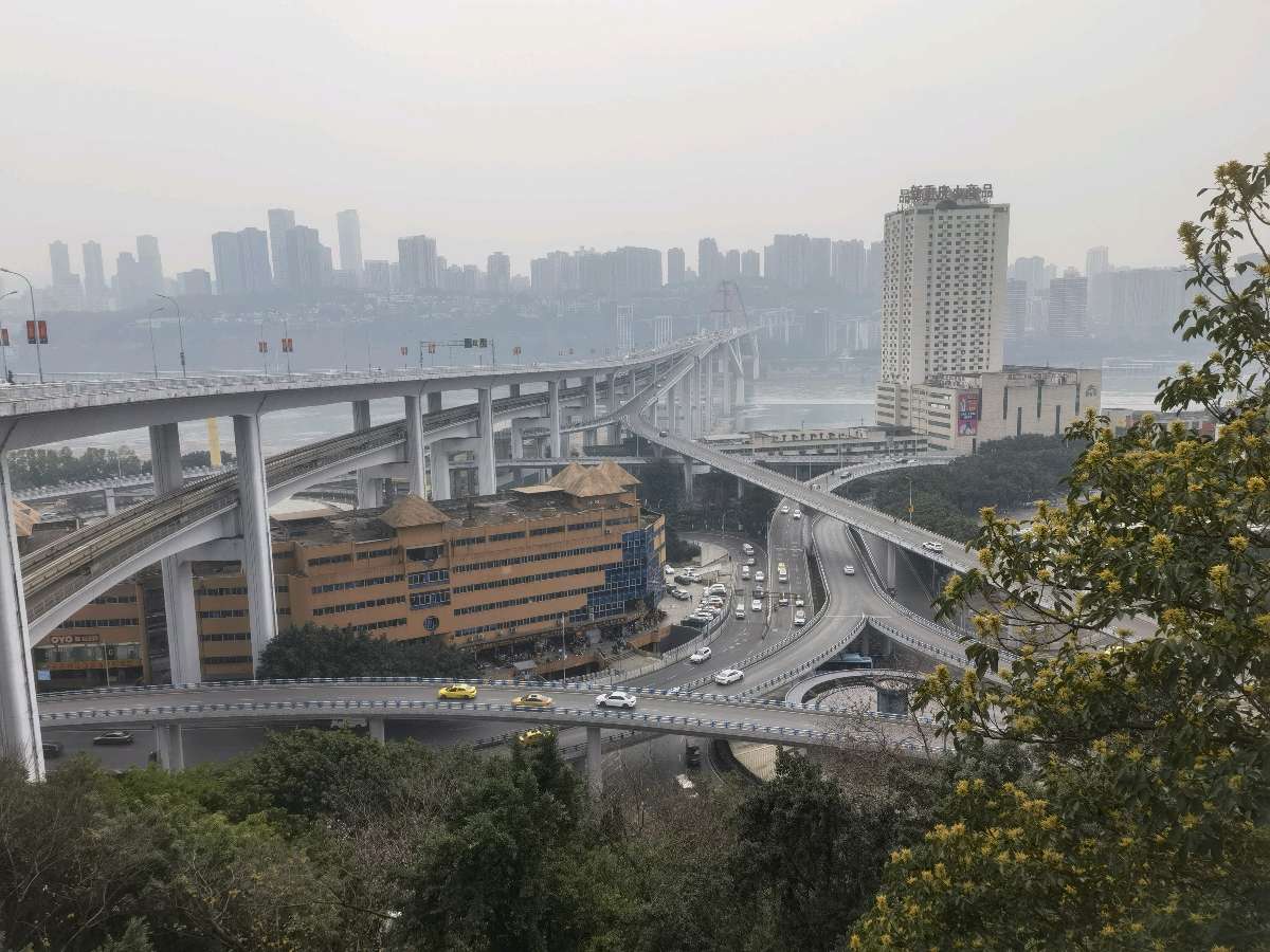 「散文」两路口崖头的玉兰花开了(图3)