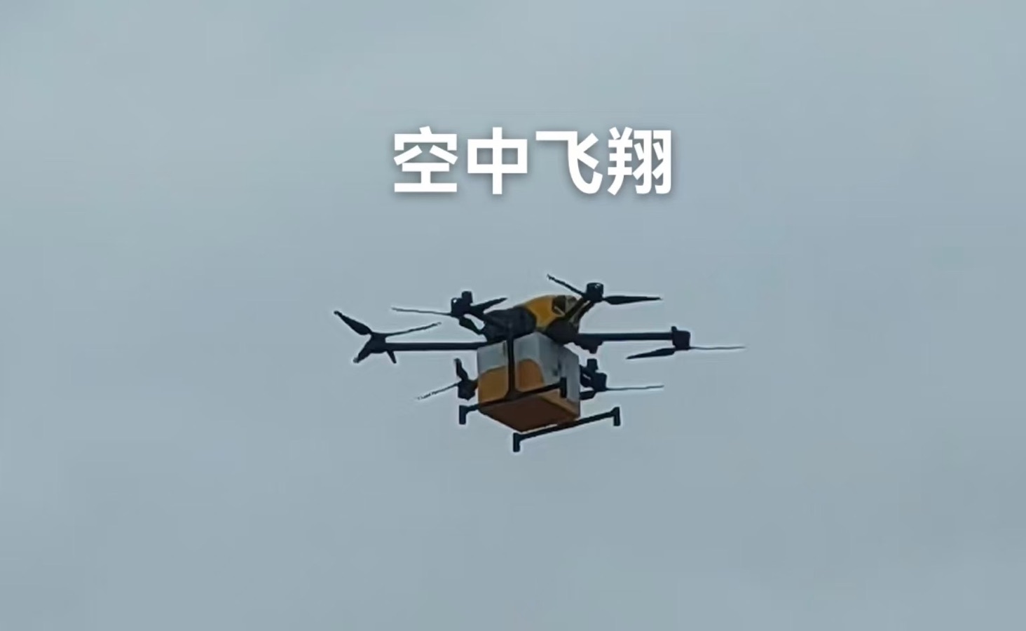 海外头条： （叙事散文诗）《深圳湾文化广场》作者||丁培恭（图13）
