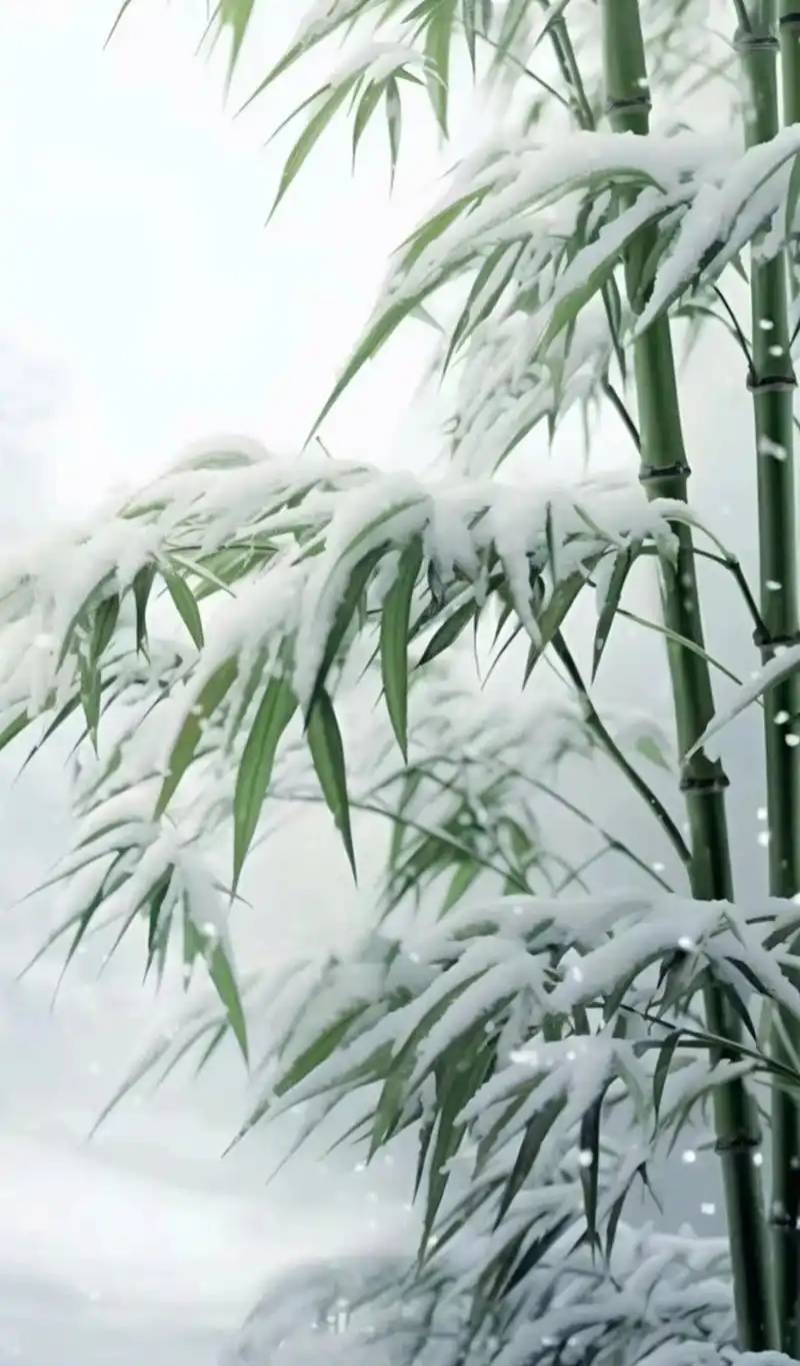 【新山东文学社】《2025(乙巳)年消寒诗(十八首)》作者/江淮闲客 主播/天空(图6)