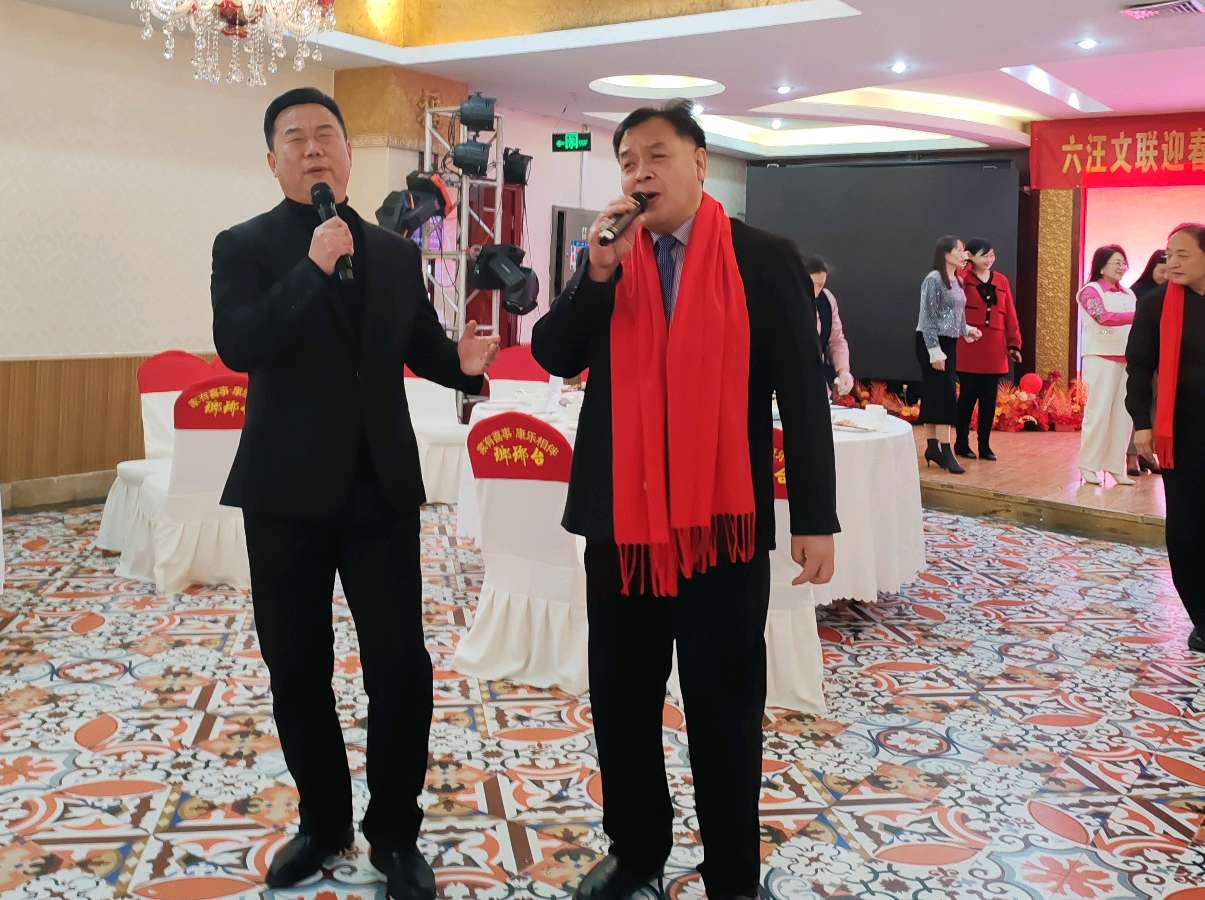 六汪文联迎春年会暨《六汪镇志》《六汪故事》发行仪式隆重举行（图33）