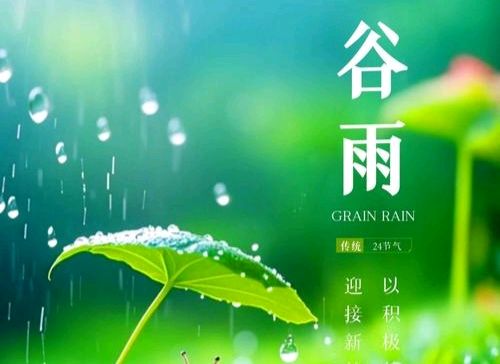 《中华好诗词》分享（内蒙古）优秀诗人赵万志先生《二十四节气.春六首》请欣赏（图9）