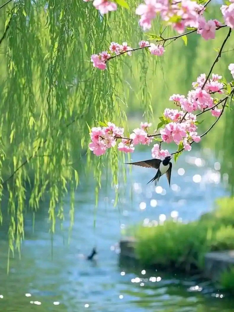 七九 作者:张满海（图2）