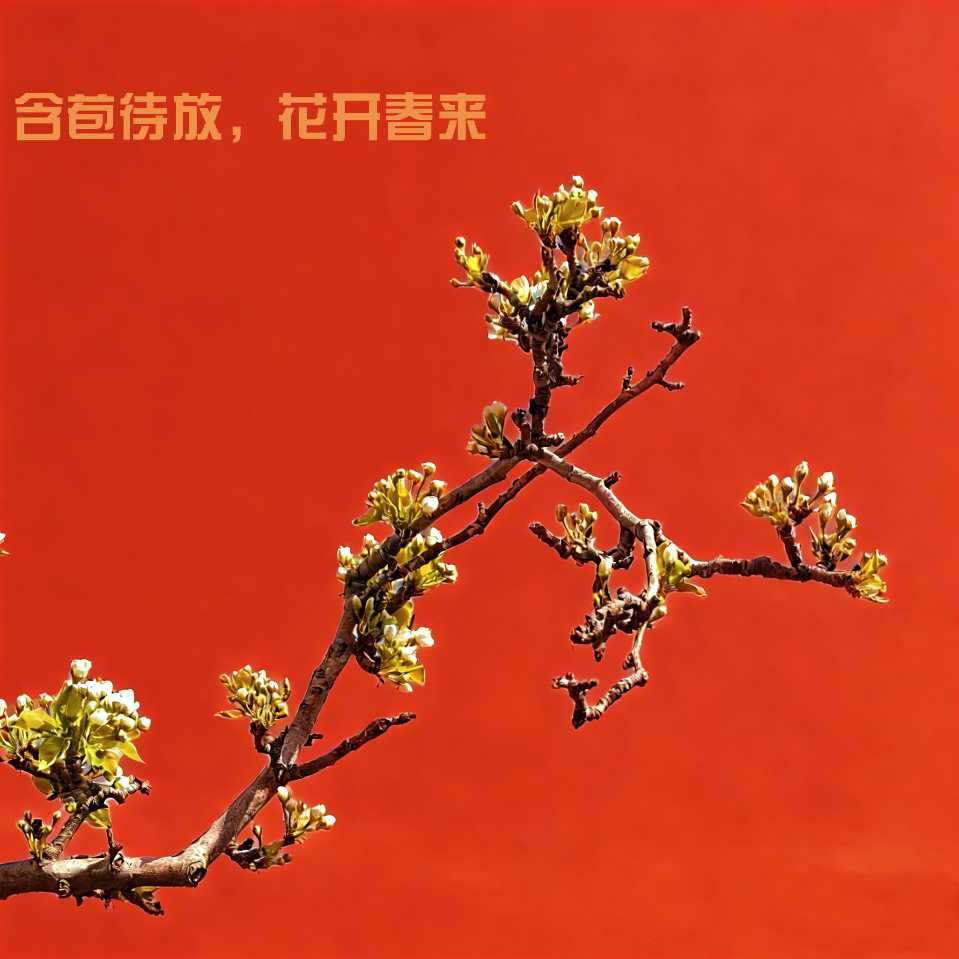 聊城市文化和旅游行业协会致全体会员及全市文旅从业人员的慰问信