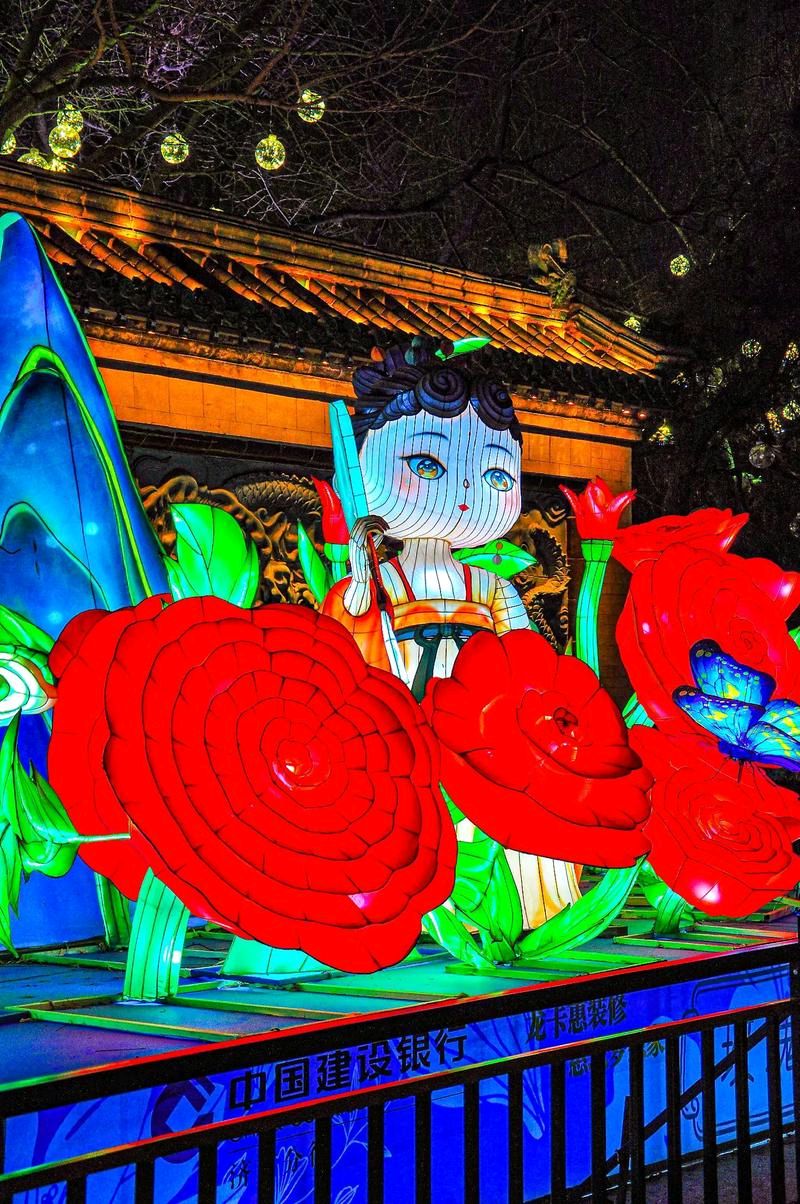 迎春花灯[烟花]（图9）