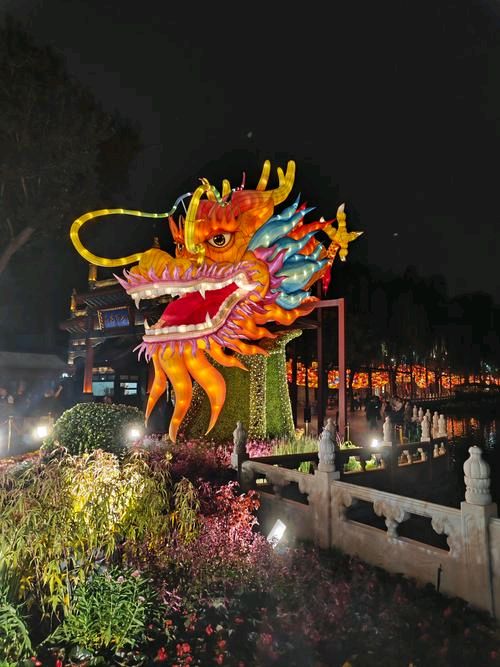 迎春花灯[烟花]（图4）