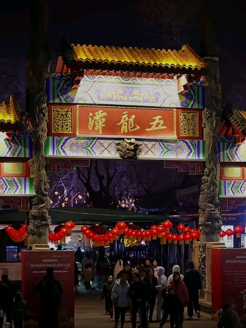 迎春花灯[烟花]（图2）