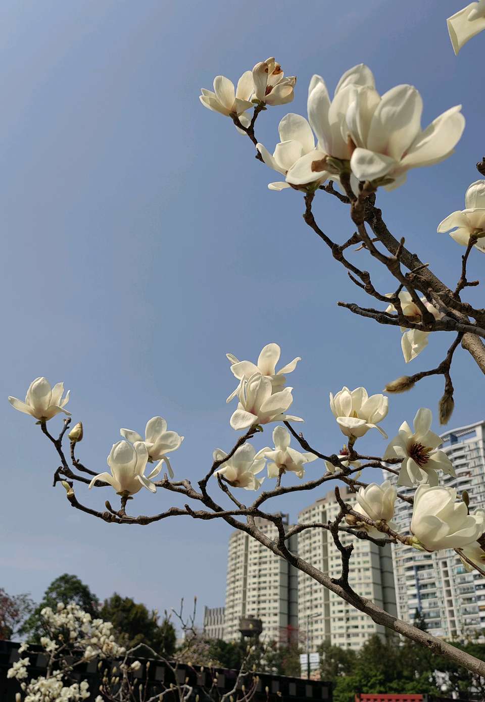 春情乐/江冲（图6）