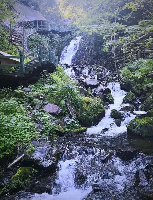 九合群唱和第80期：咏五常凤凰山森林公园||巴彦诗协【1161】（图10）