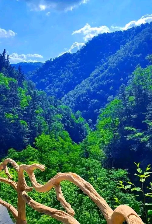 九合群唱和第80期：咏五常凤凰山森林公园||巴彦诗协【1161】（图11）