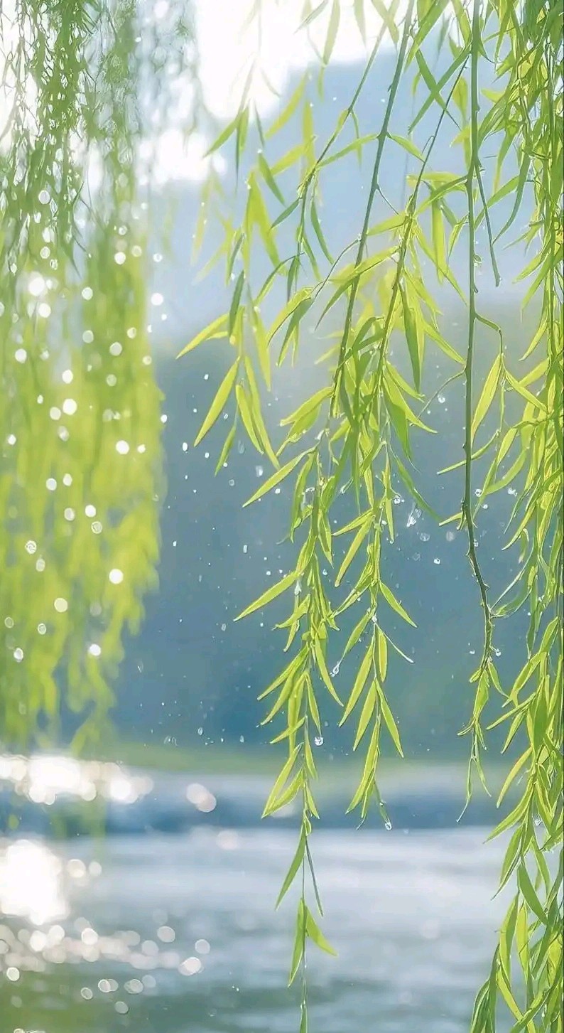 七律-春节（外一首）吴君明（云南）（图17）