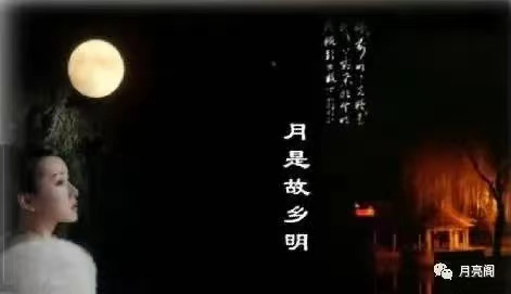 星月篇(45)，很想去看你（图7）
