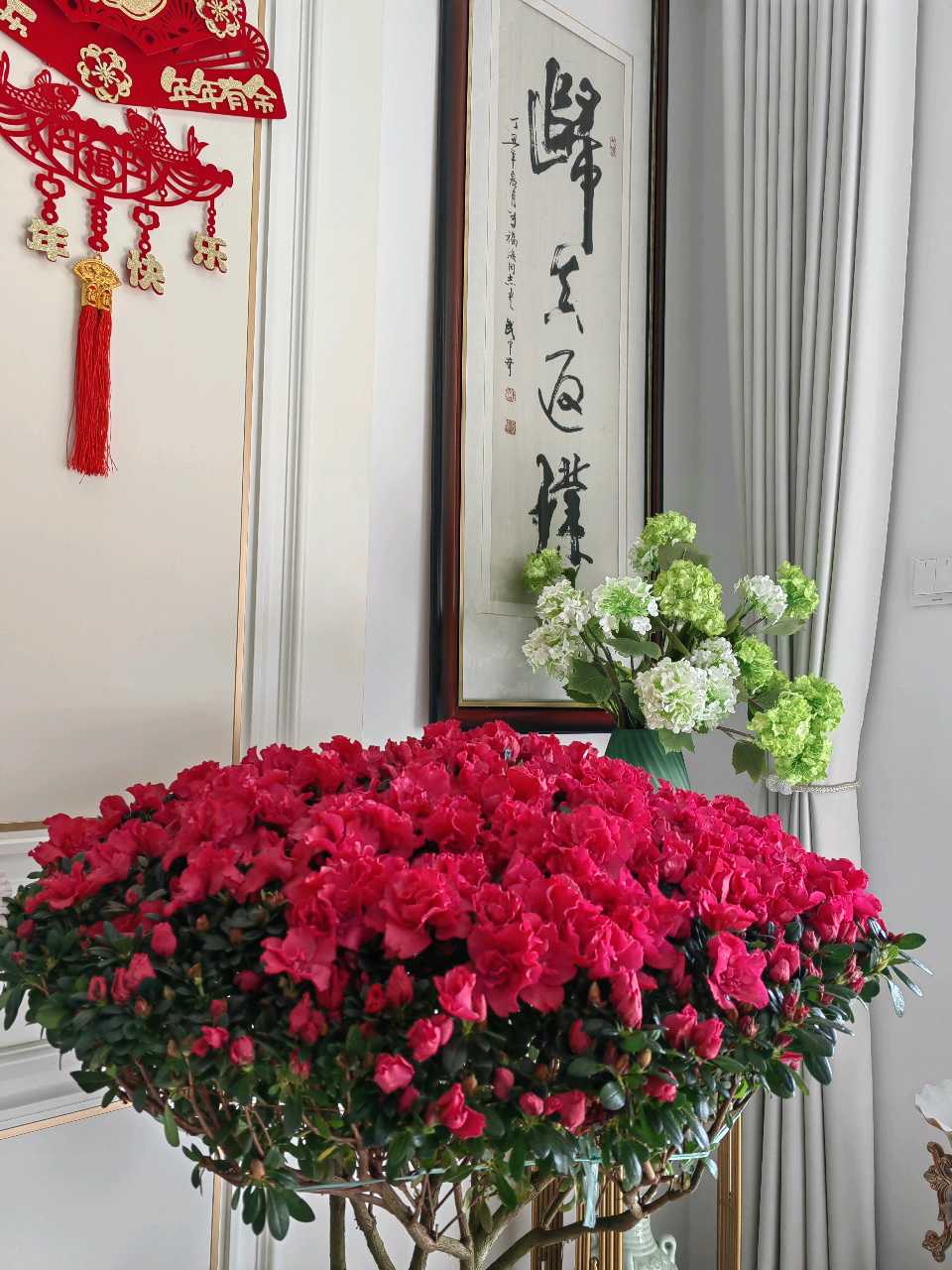 马 年 吉 祥🐎（图2）
