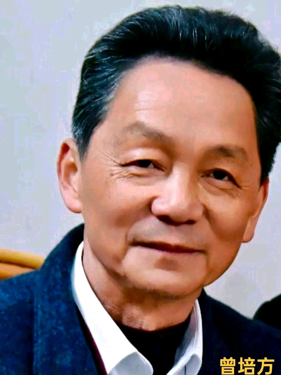 【新年放歌】曾培方//丙午岁元日感赋（图6）