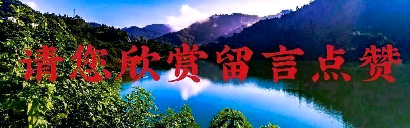 【重磅推出 新年放歌】鲁坡//长安喜接马年春[古城聚友过除夕]系列作品展（图21）