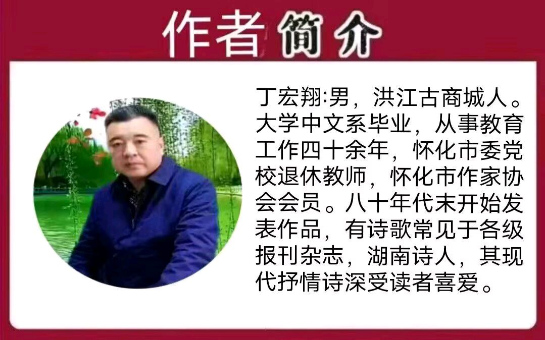 《你是轻轻杨柳风》作者/宏翔 主编/胡琴（图2）