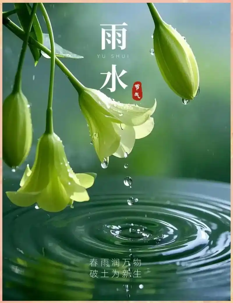 雨水节气|巴彦诗协【1166】（图4）
