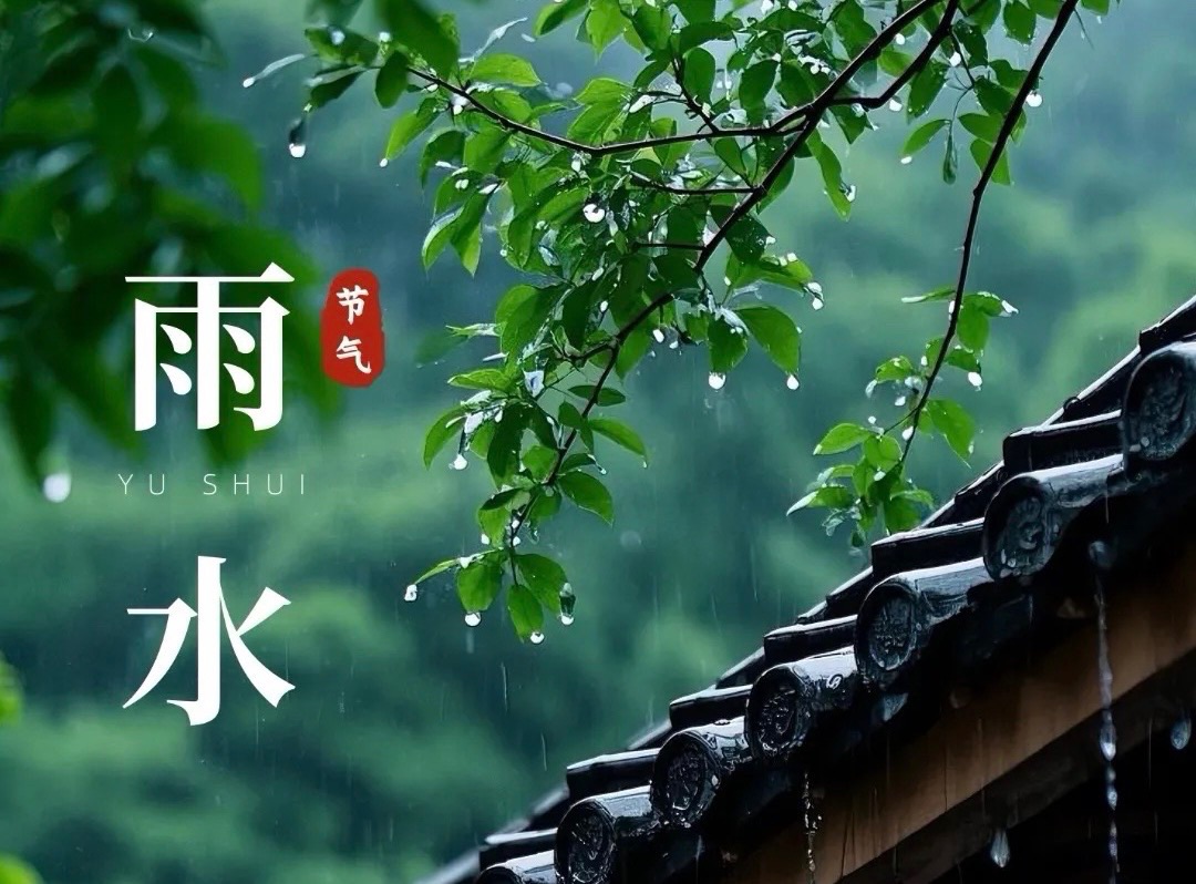 【新诗大观】写给雨水||文/姜振国（图2）
