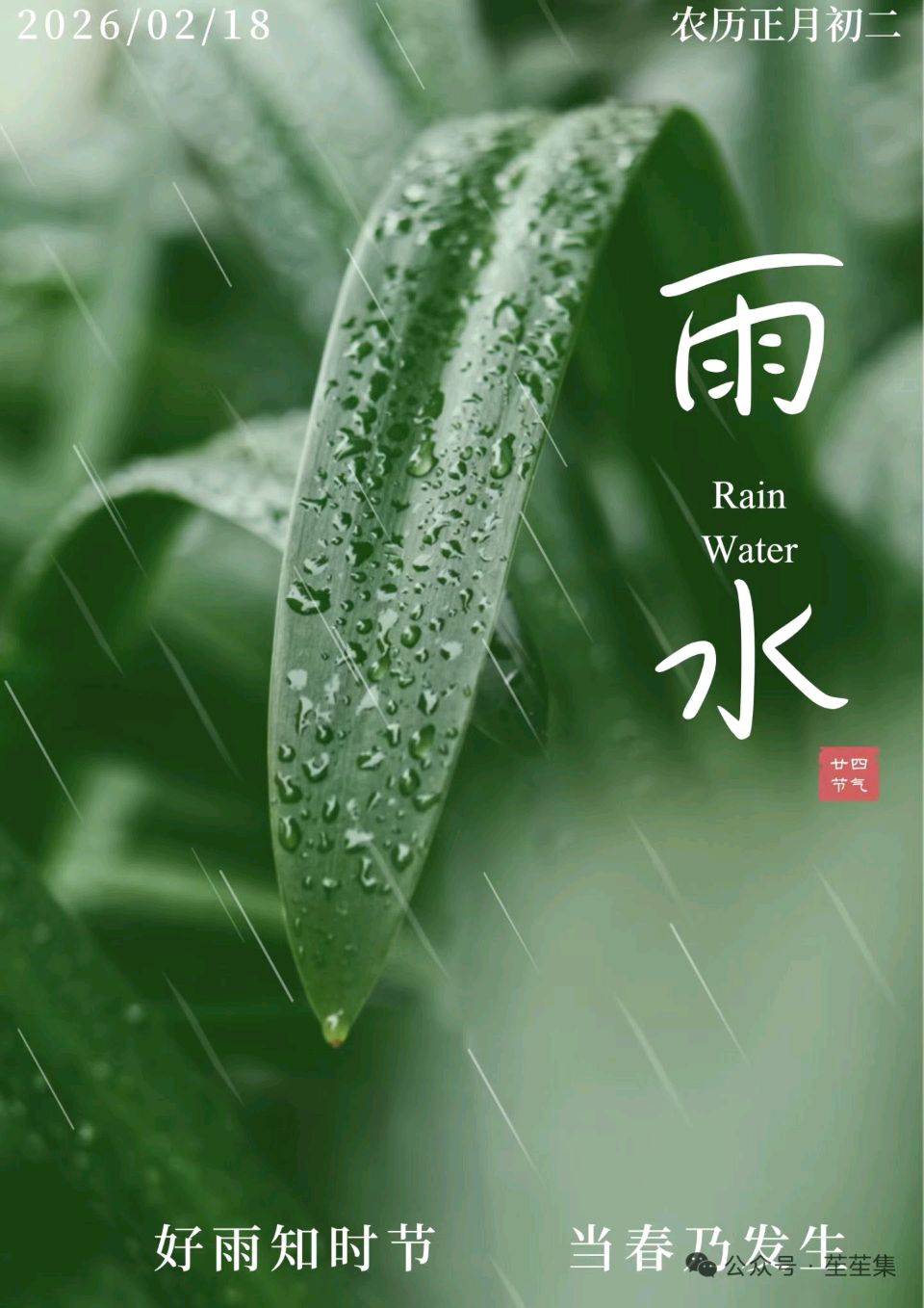 《九江文学社：北京头条》《丙午雨水节气》专刊（图8）
