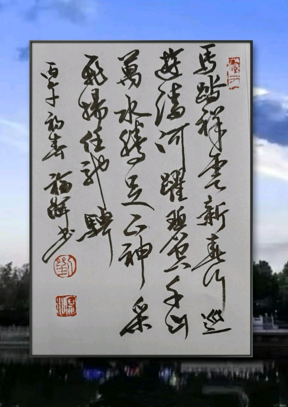 骐骥驰骋🐎☁