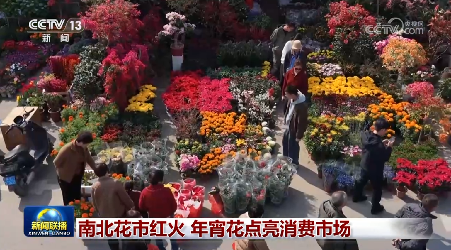【投洽商讯】第166期 春节花市 生态文明建设 国土大健康 稀土 铜 铝 大农业 采购、公益、康养文旅及红色项目投建运 基地挂牌(图2)