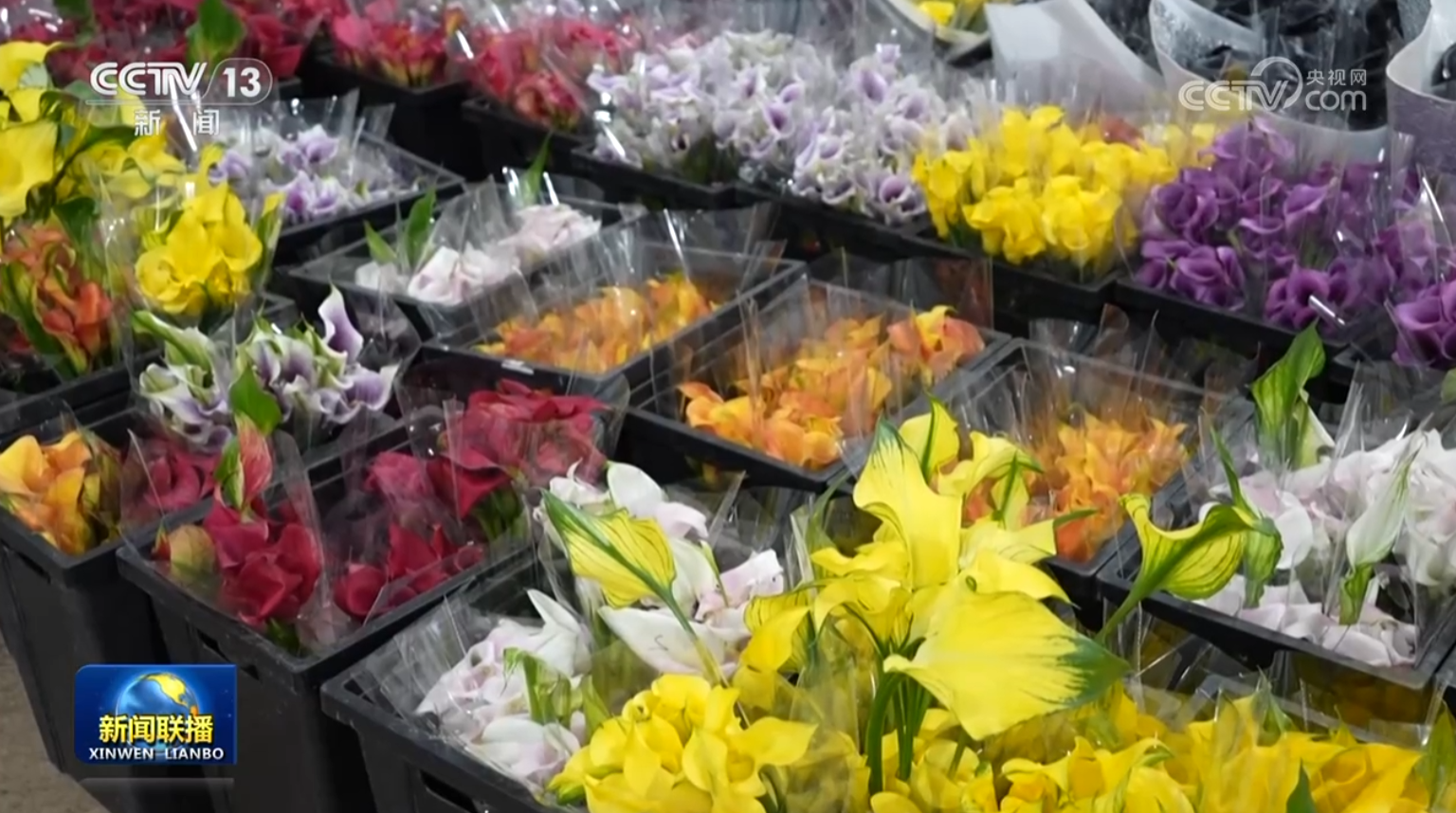 【投洽商讯】第166期 春节花市 生态文明建设 国土大健康 稀土 铜 铝 大农业 采购、公益、康养文旅及红色项目投建运 基地挂牌(图3)
