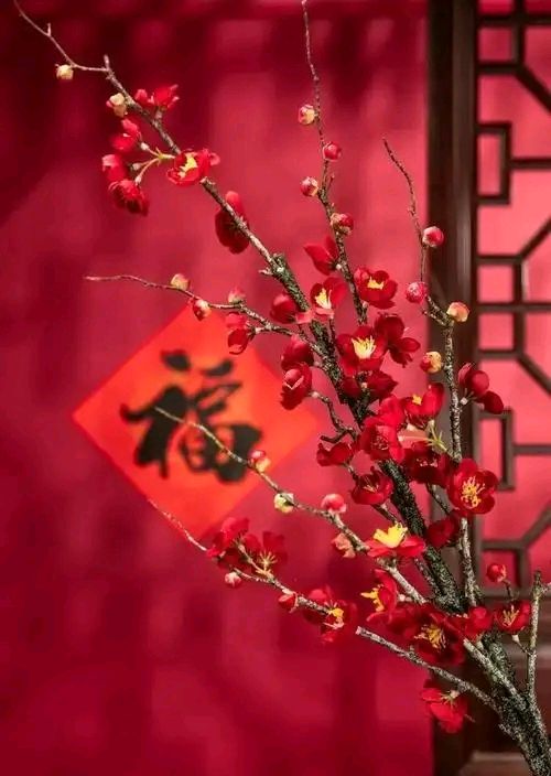 【你好 丙午马年】作者雷金钟 朗诵者伊莎 林风华（图4）