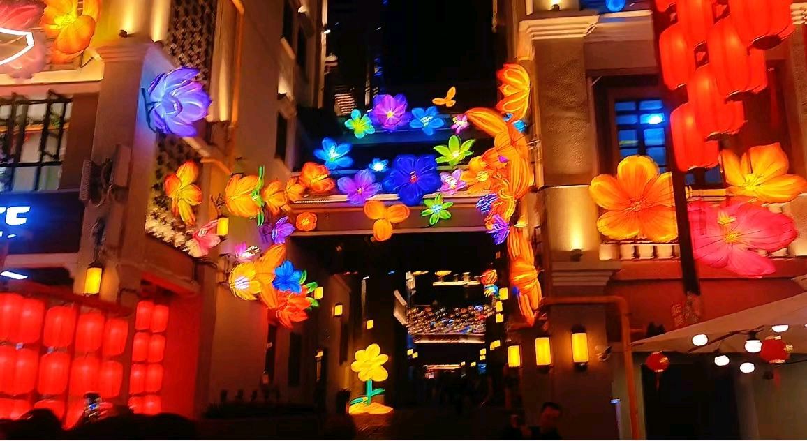 《夜逛朝阳广场灯会》作者/英子 审核/王庆福 主编/胡琴（图3）